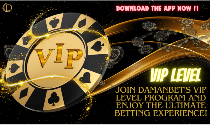 Cashback Harian Casino untuk Member VIP & Reguler